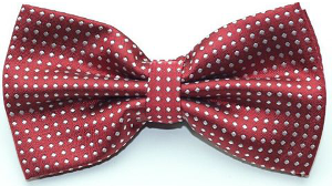 Kotee Brown Pre-tied Bow Tie by Kruwear